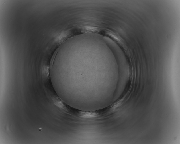 X0000087340621200704201146