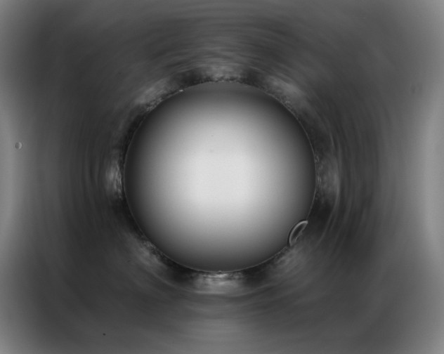 X0000087340622200704201146