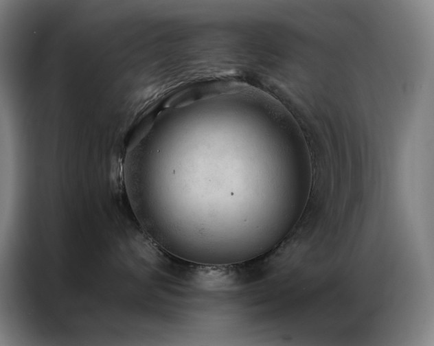 X0000087340624200704201146