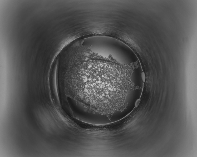 X0000087340626200704201146