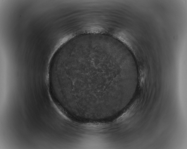 X0000087340630200704201146