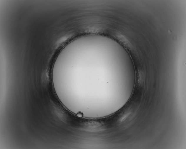 X0000087340636200704201146