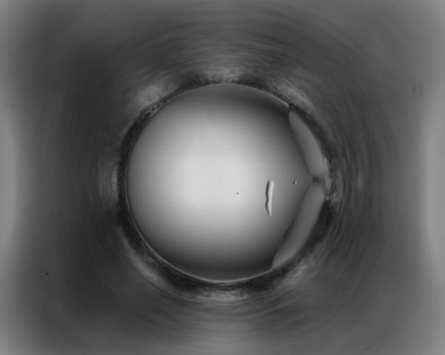 X0000087340638200704201146