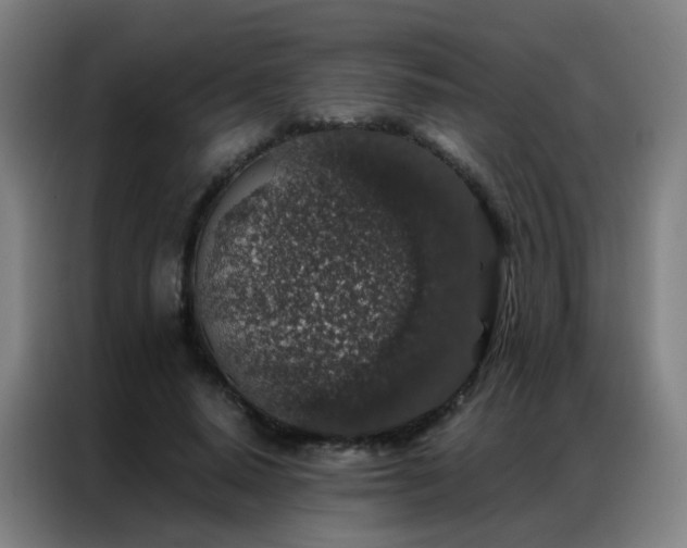X0000087340640200704201146