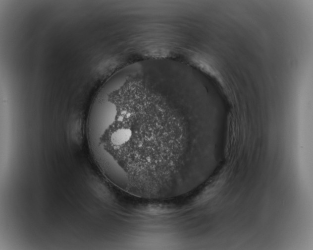 X0000087340641200704201146