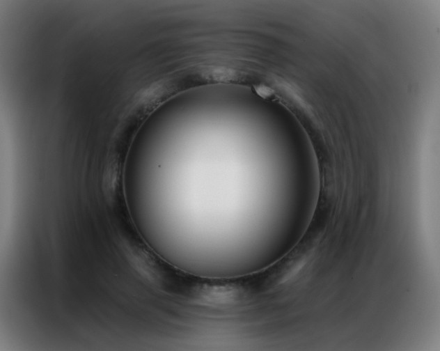X0000087340645200704201146