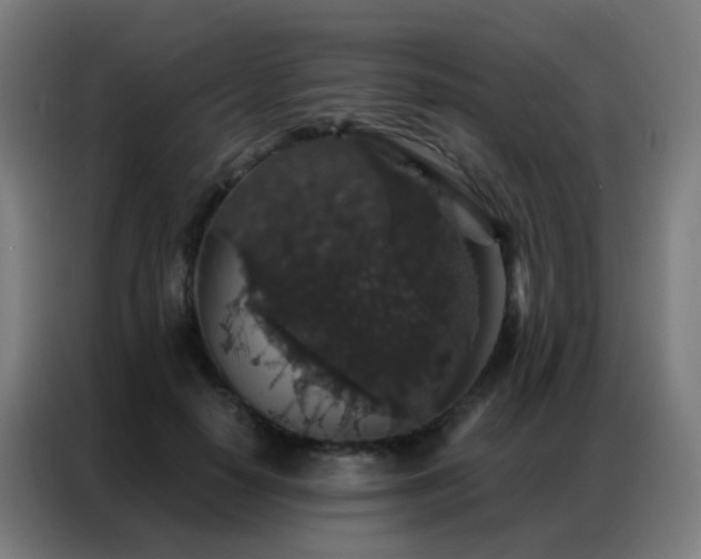 X0000087340650200704201146