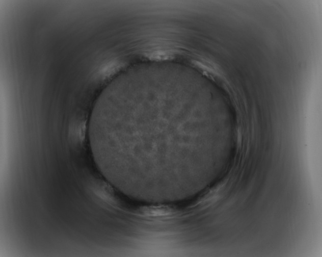 X0000087340652200704201146