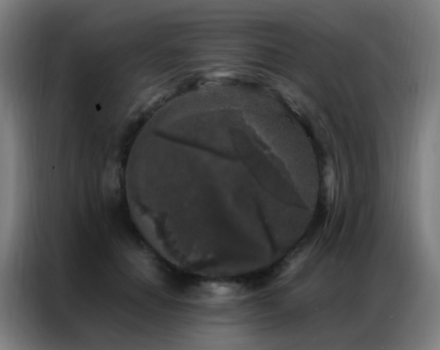 X0000087340654200704201146