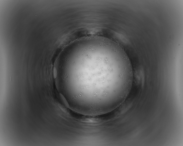 X0000087340657200704201146