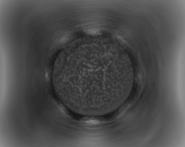 X0000087340658200704201146