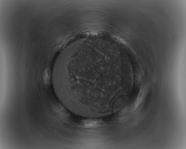 X0000087340661200704201146