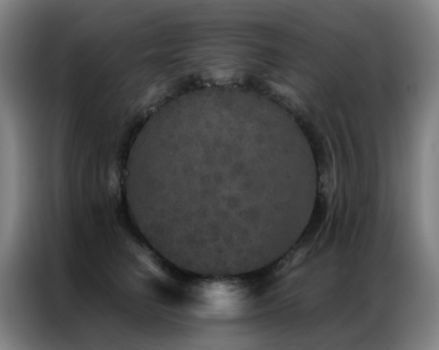 X0000087340662200704201146