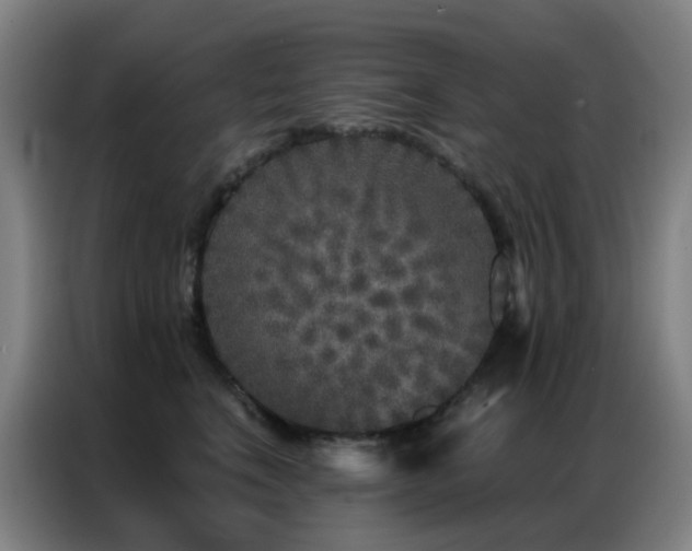 X0000087340664200704201146