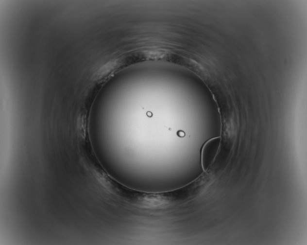 X0000087340666200704201146