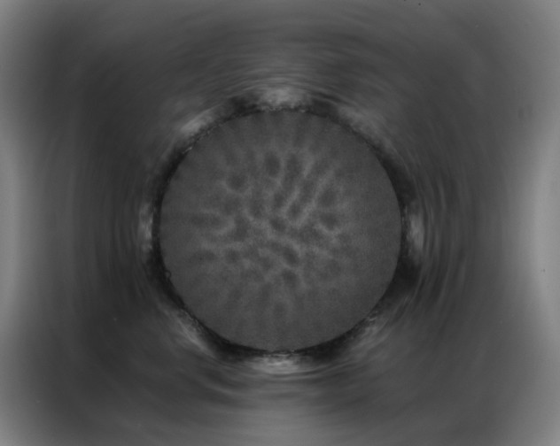X0000087340668200704201146