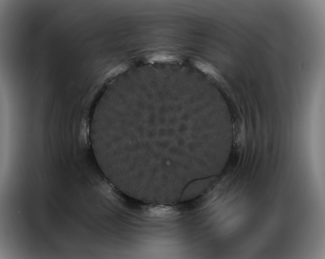 X0000087340669200704201146