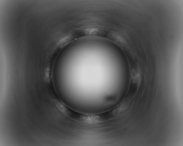 X0000087340670200704201146
