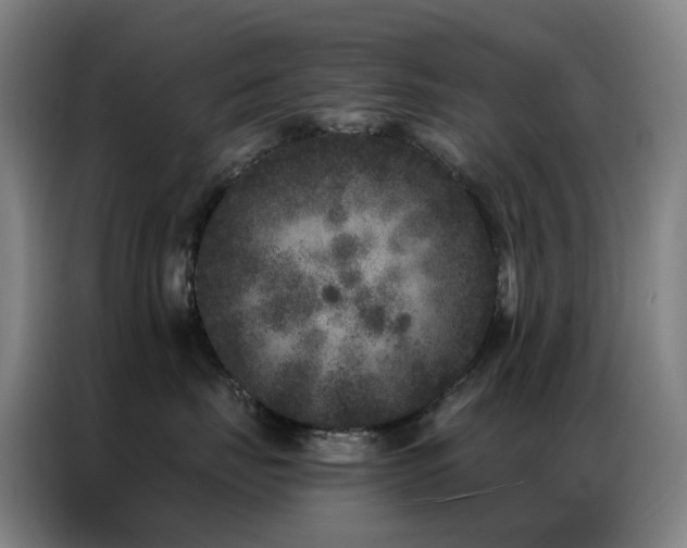 X0000087340671200704201146