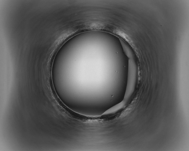 X0000087340673200704201146