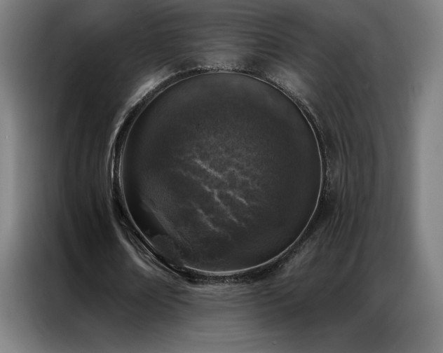 X0000087340674200704201146