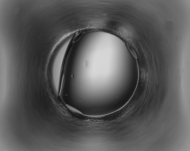 X0000087340676200704201146