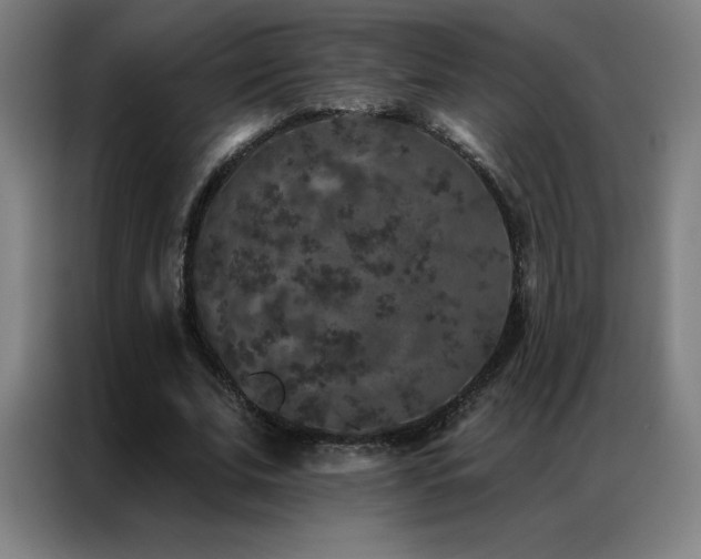 X0000087340679200704201146
