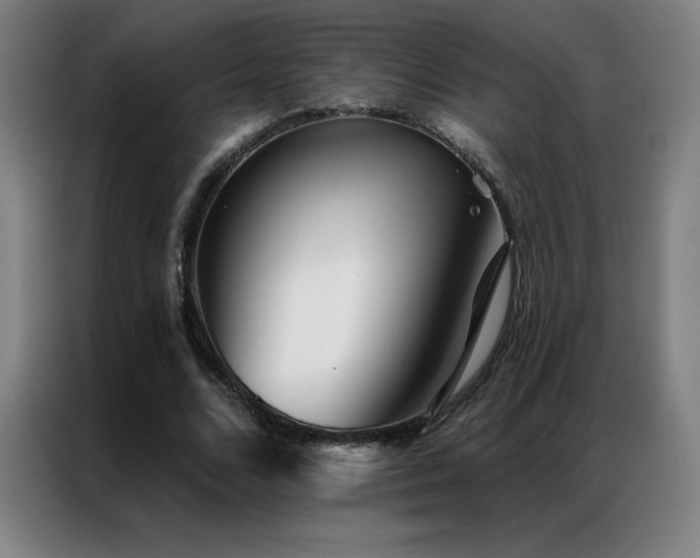 X0000087340680200704201146