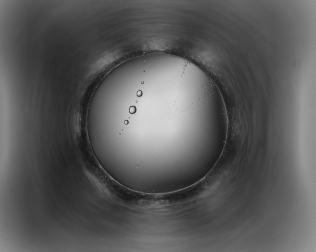 X0000087340683200704201146