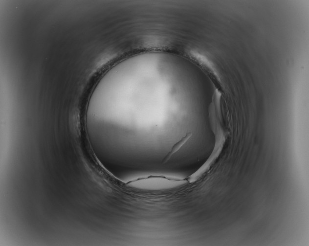 X0000087340684200704201146