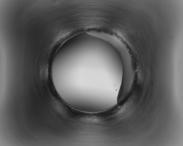 X0000087340685200704201146