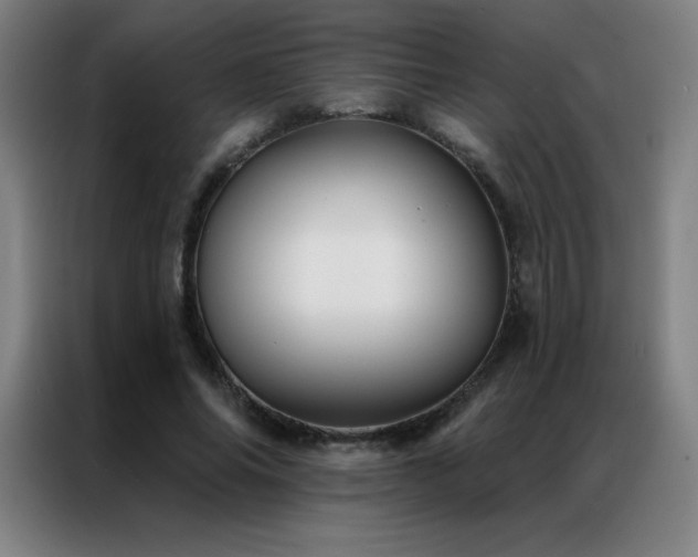 X0000087340686200704201146