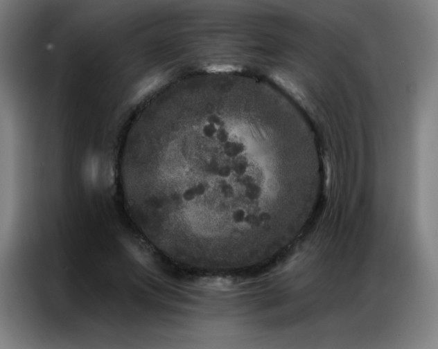 X0000087340687200704201146