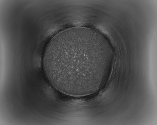 X0000087340689200704201146