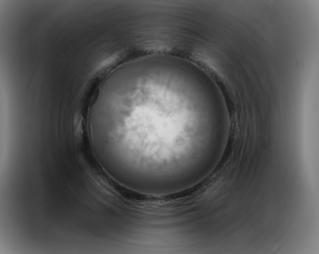 X0000087340692200704201146