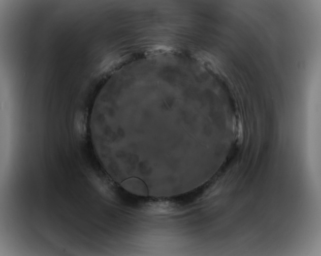 X0000087340695200704201146