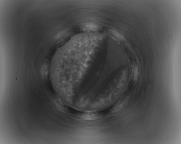 X0000087340701200704201145