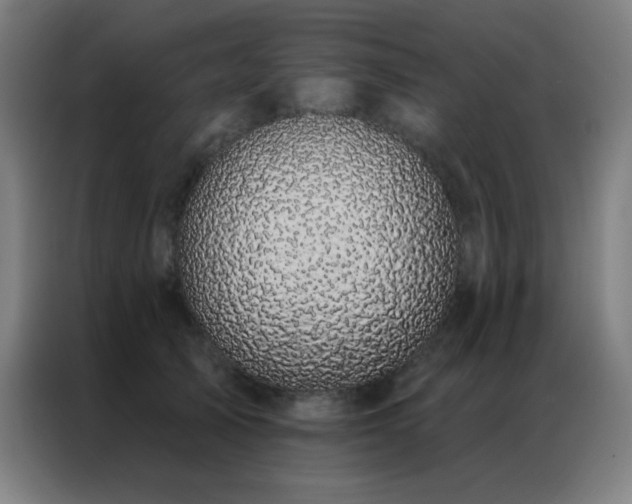 X0000087340705200704201145