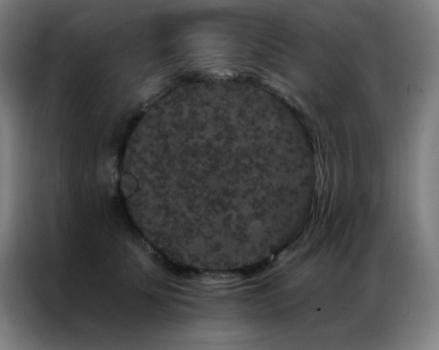 X0000087340707200704201145