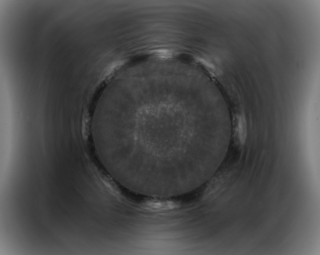 X0000087340712200704201145