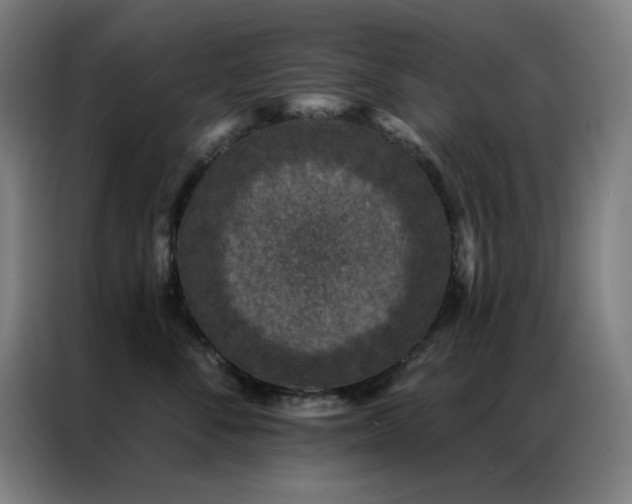 X0000087340716200704201145