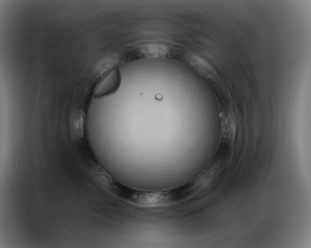 X0000087340717200704201145