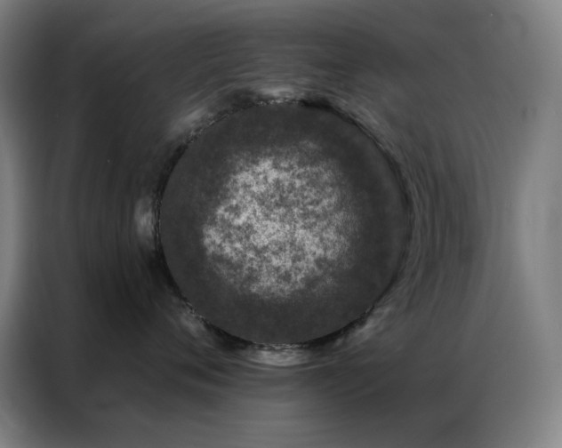 X0000087340720200704201145