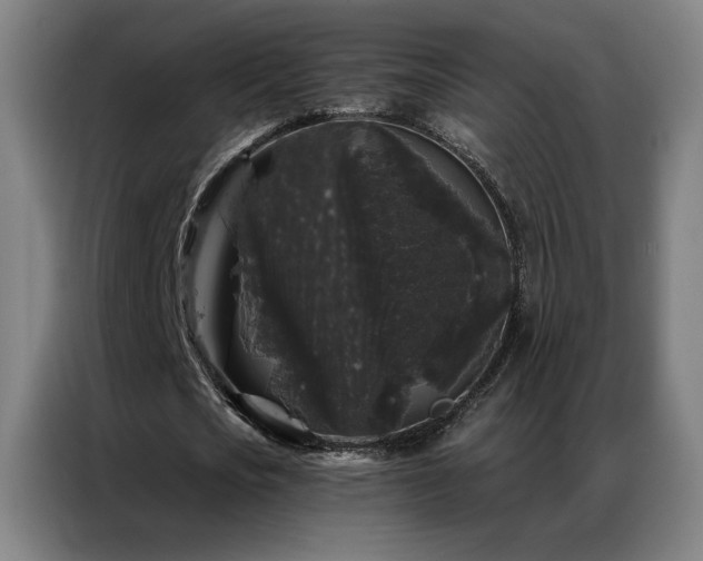 X0000087340721200704201145