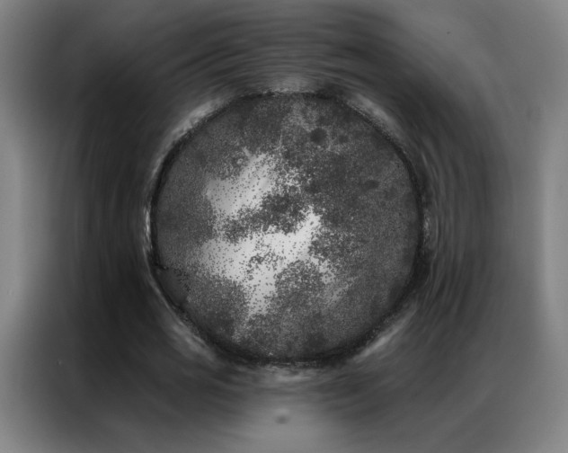 X0000087340725200704201145