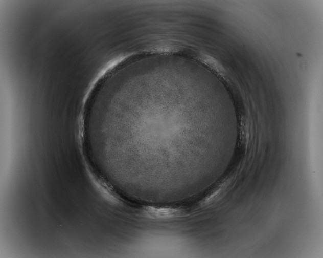 X0000087340726200704201145