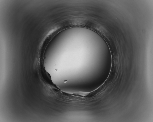 X0000087340727200704201145