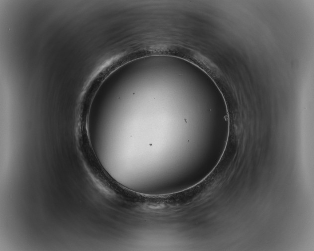 X0000087340728200704201145