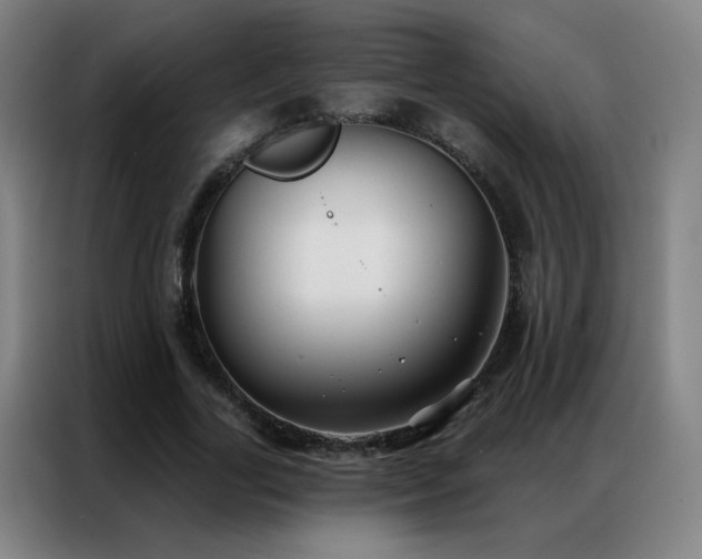 X0000087340731200704201145