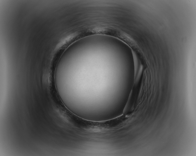X0000087340732200704201145